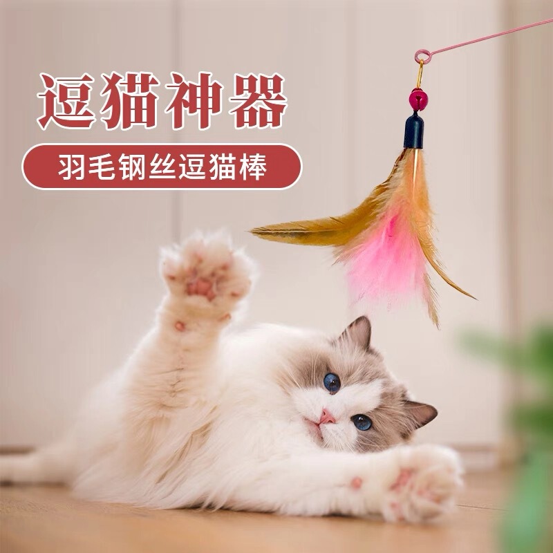 新款羽毛逗猫棒猫玩具长杆羽毛带铃铛逗猫咪玩具宠物玩具解闷猫咪|undefined