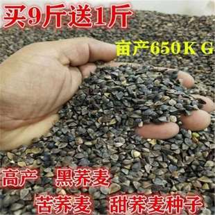 �w���N�Ӄ��|���w���N�� ���w���N�� ���w�N���ļ��Nֲѿ����