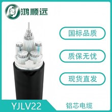 廠家直銷 YJLV22鋁芯電纜 3+2芯 國標鎧裝低壓鋁ZCYJLV22鋼帶鎧裝