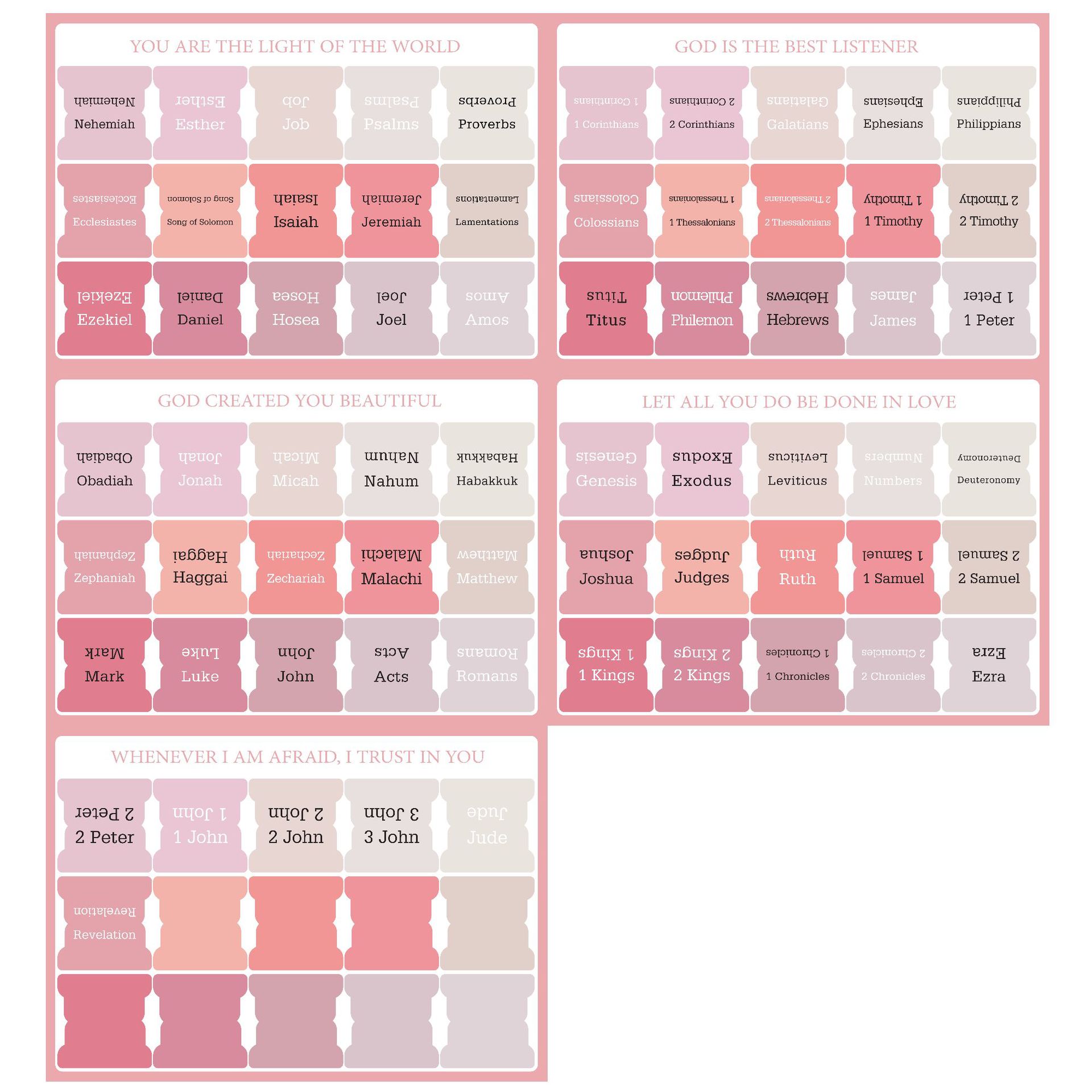 새로운 핑크 컬러-5 사진