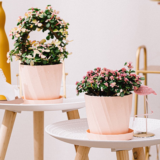 Balcón para el hogar Maceta de plástico extragrande de alto valor Maceta de rosas de rosa de gran capacidad engrosada y transpirable