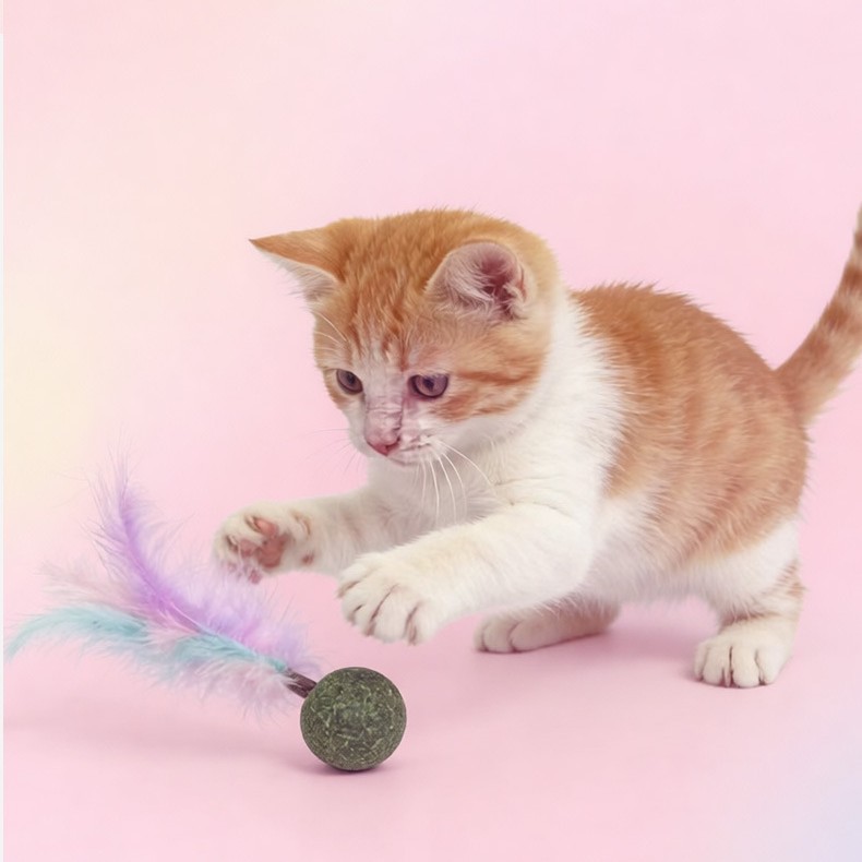 Pluma Bola de menta de gato Juguete de bola de menta Menta de gato