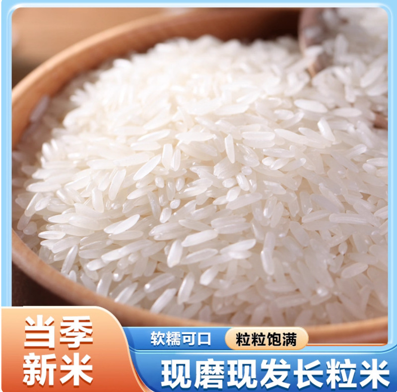 50斤长粒香米新米晚稻丝苗米煲仔饭蛋炒饭猫牙米煮饭大米批发|undefined