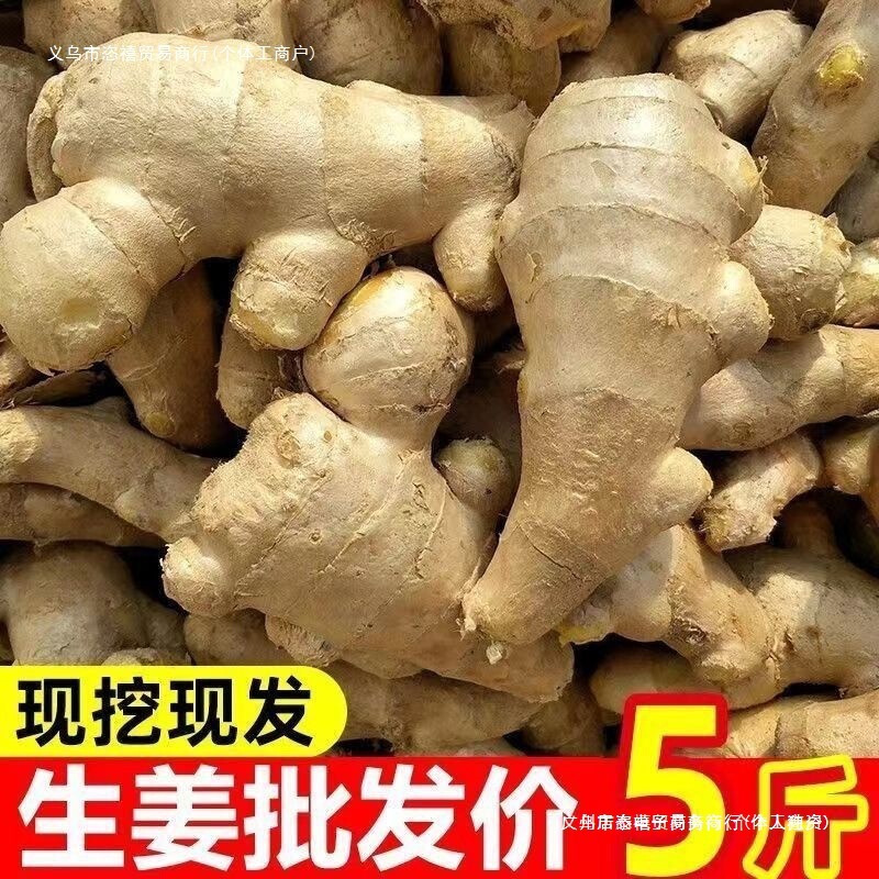 山东大黄姜新鲜蔬菜水洗风干生姜家用饭店食堂理疗包邮批发零售】|undefined