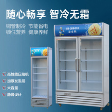 冷藏展示柜单门饮料柜商用双开门保鲜柜立式三门啤酒冰柜冰箱超市