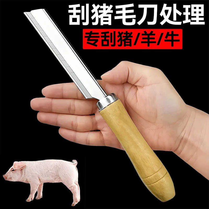 돼지털 면도용 특수칼, 돼지, 양, 쇠고기, 돼지털, 돼지발, 돼지발 면도용 스테인리스 날카로운 면도기 판매