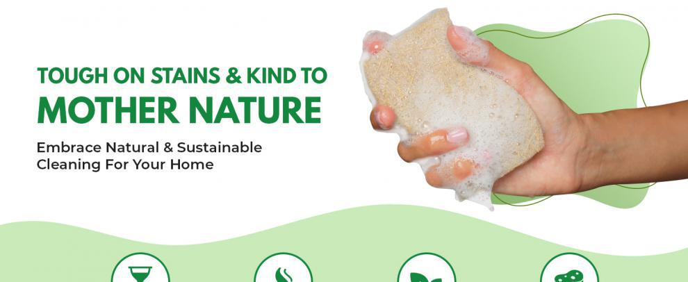 S-Shaped Coconut Sponge