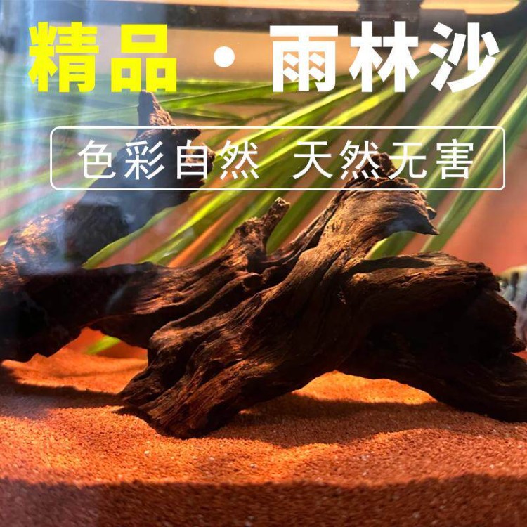 雨林沙鱼缸造景沙子水族装饰底砂细沙草缸溪流沙鱼缸底部砂石摆件