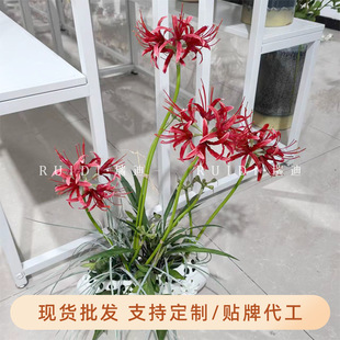 ���滨�˰�������ɳ�Aʯ�⻨�zӰ�����҃��b廨�������컨����