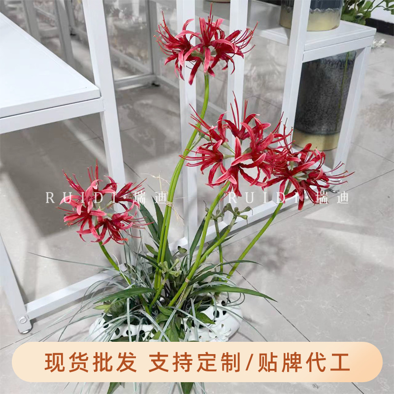 Artificial Flower Bianhua Manzhushahua Stone Garlic Flower Photography Props Interior Decoration Flower Arrangements Flower Row Artificial Flower Silk Flower