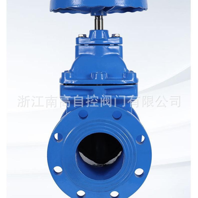 DN50暗杆弹性座封 Z45X-16Q软密封法兰闸阀 自来水闸阀 球墨铸铁