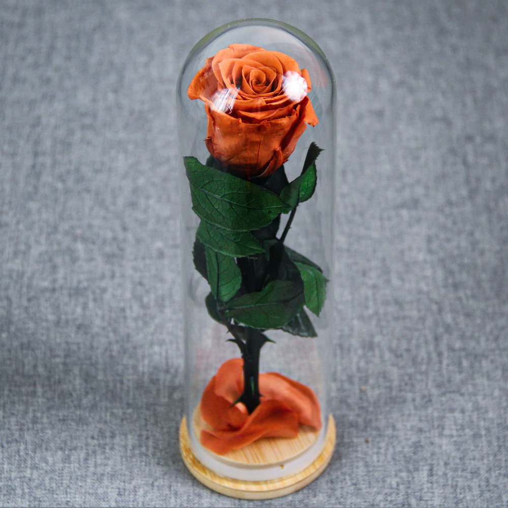 Flor inmortal Little Prince Star Sea Watchman una sola rama de rosa cubierta de vidrio Amazon Día de San Valentín Regalo del Día de la Madre