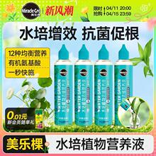 美乐棵水培植物营养液观音竹富贵竹郁金香铜钱草肥料通用型