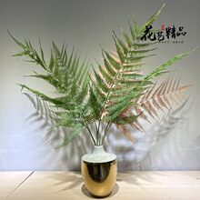 ����ާ���ֻ/��ާ��ʽ�U���Ų�ާ�ֲ�ﱱ�W�L�Gֲ���Խ������s