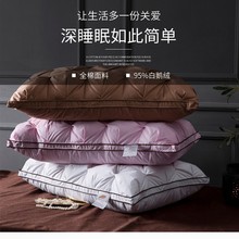 �߶˰��Z�q��q��о���Ǽ��Ƶ���˼������^���m����Ť�����w��