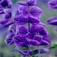 �{����β�ݷN�Ӳʰ���β�������{����β����ѷN�̨���@����