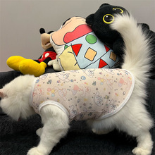 è���·�����ɰ���ͨС������èè�ļ�Сè����С��Ȯ͸������ë