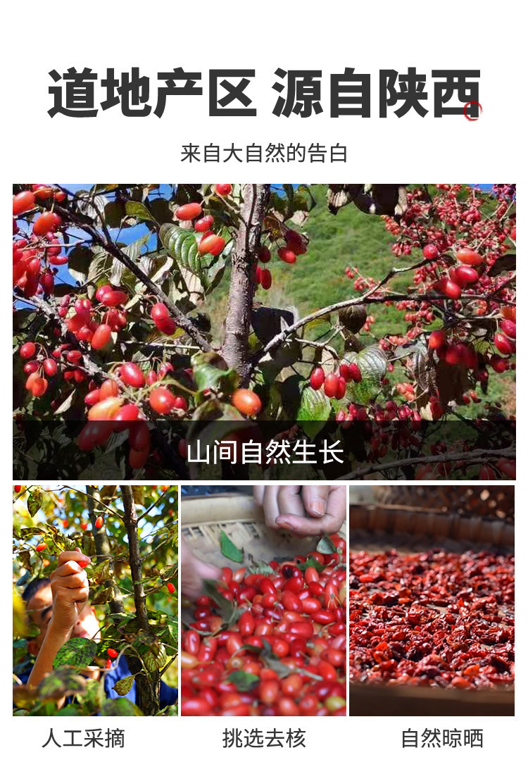 Dried Cornus Fruit Shan Zhu Yu 500g Pitted Chinese Dogwood Berry for Herbal Decoction and Tea overview