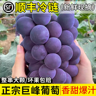 �Fժ�F�l���b�޷����Ѯ������rˮ�����Ѿ޷�����������S��朴��l