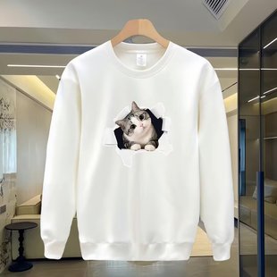 Autumn and Winter New Trendy Brand Printed Boys' Tops, Fashionable Pullover, Round Neck, Long Sleeves, Casual, Versatile, Trendy Men's Sweatshirts with Velvet