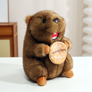 �W�t Marmot���H��������żë�q��߹��В������ϵ�������޶Y��