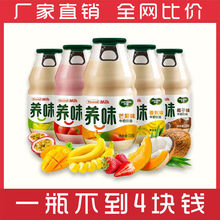 牛奶草莓味香蕉味瓶裝早餐牛奶兒童乳酸菌飲料廠家直銷批發