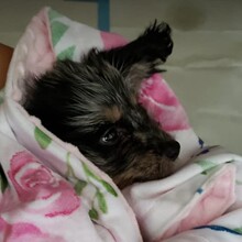 �羳���N�����̺����̺���������������{̺�w̺�Ѓ�ͯ��������
