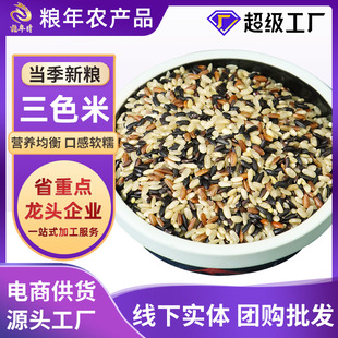 ��ɫ����5������b�ּZ��֬������ڼt���׽M������s�Z���l