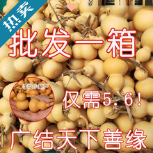 ���J�؃r����������С���J��Ʒ���lС���ְѼ���Ȼ���J������n�m