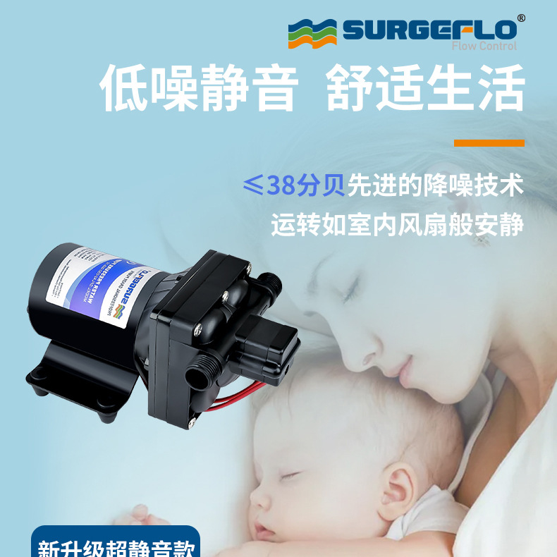 42款12v24v隔膜泵