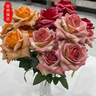���滨�ָд��õ�Ҿ��bٻ��Ƶ겼�ý�õ���˹�õ�廨 �ٲ�õ