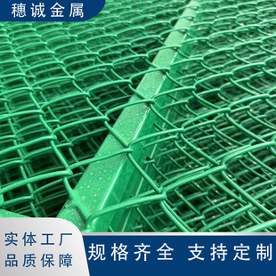 Crocheted net factory wholesale spraying grass planting wire mesh outdoor spraying slope protection galvanized wire mesh export protection net