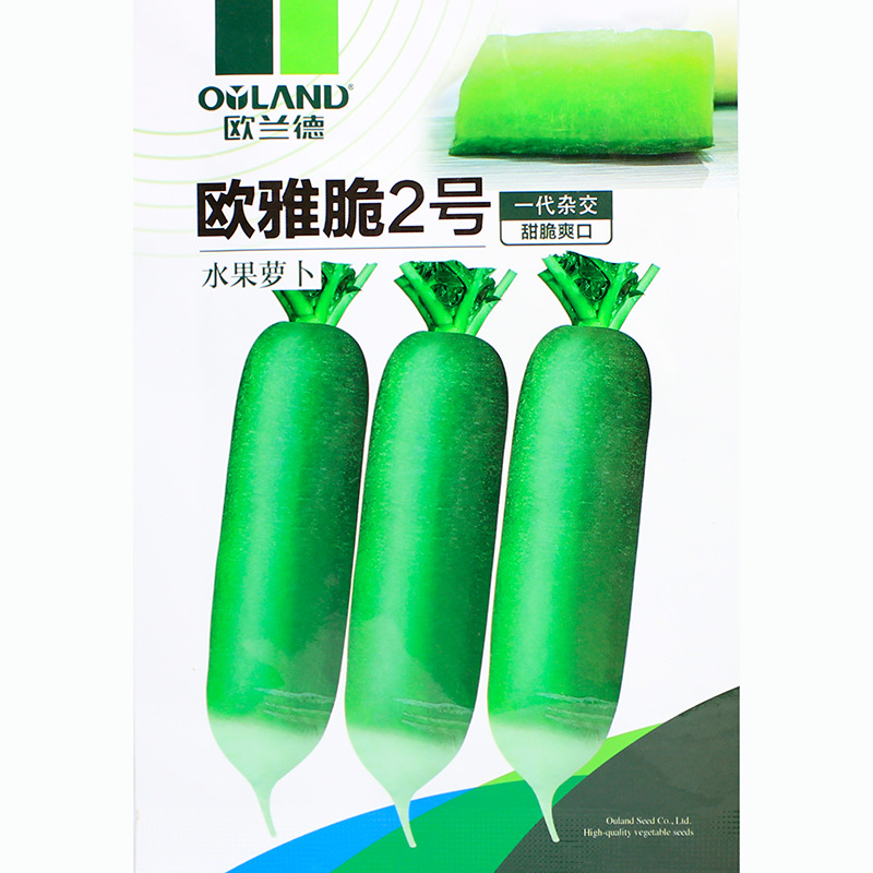 甜脆冰糖水果青萝卜种籽山东潍县高产天津沙窝罗卜种子四季蔬菜孑