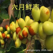 ��������ش󶬗��޽��ش󱱷��Ϸ��NֲͥԺ���J��������������