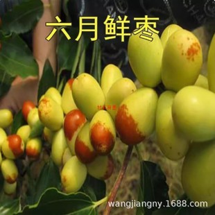��������ش󶬗��޽��ش󱱷��Ϸ��NֲͥԺ���J��������������