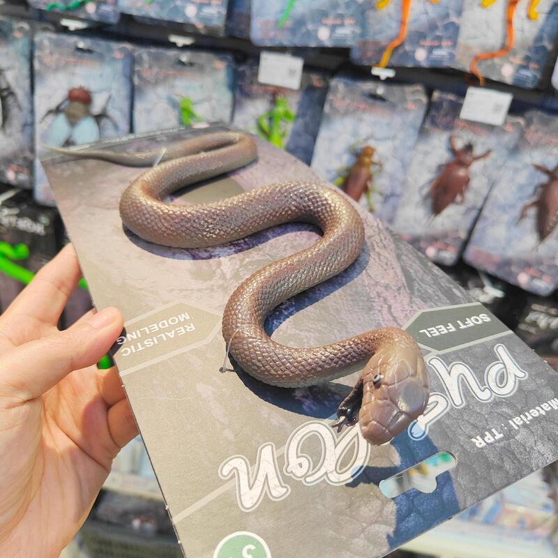 模擬軟質爬虫類モデルおもちゃ模擬トカゲカメレオン子供の認知両生類|undefined