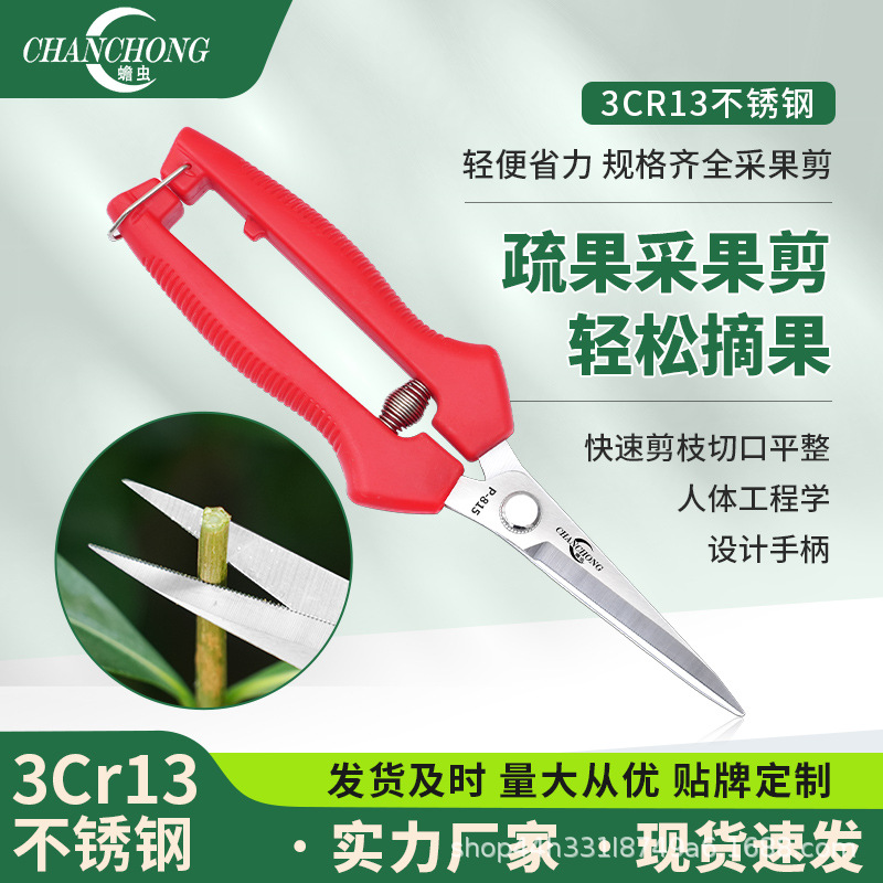 蟾虫815采果剪不锈钢剪刀葡萄剪稀果剪花剪园艺果树修果树剪