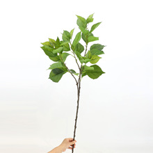 �����֧�����~��Ȼ�L���@�쾰�Ӽ��b���ֲ��Gֲ�廨�G�~�羳