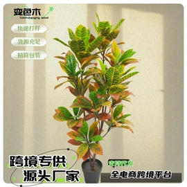 仿真盆栽;仿真绿植