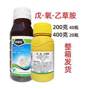 �����Ҳݰ� ��������]���݄� �������`�����������Ҳݰ����݄�