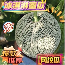 �����۹Ϻ����۹ϱ���ܿڸ�5��8���1һ5�����rˮ���������۹�