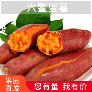 ��������ɳ�ؼt�����r����Ŵ�����عϮa��ȫ�깩؛��������һ����