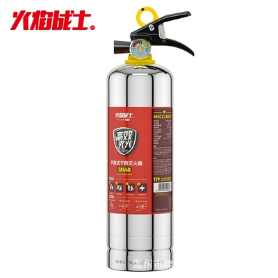 Warrior Stainless Steel Fire Extinguisher: Vehicle fire extinguisher - 2kg-powerful-dry-powder