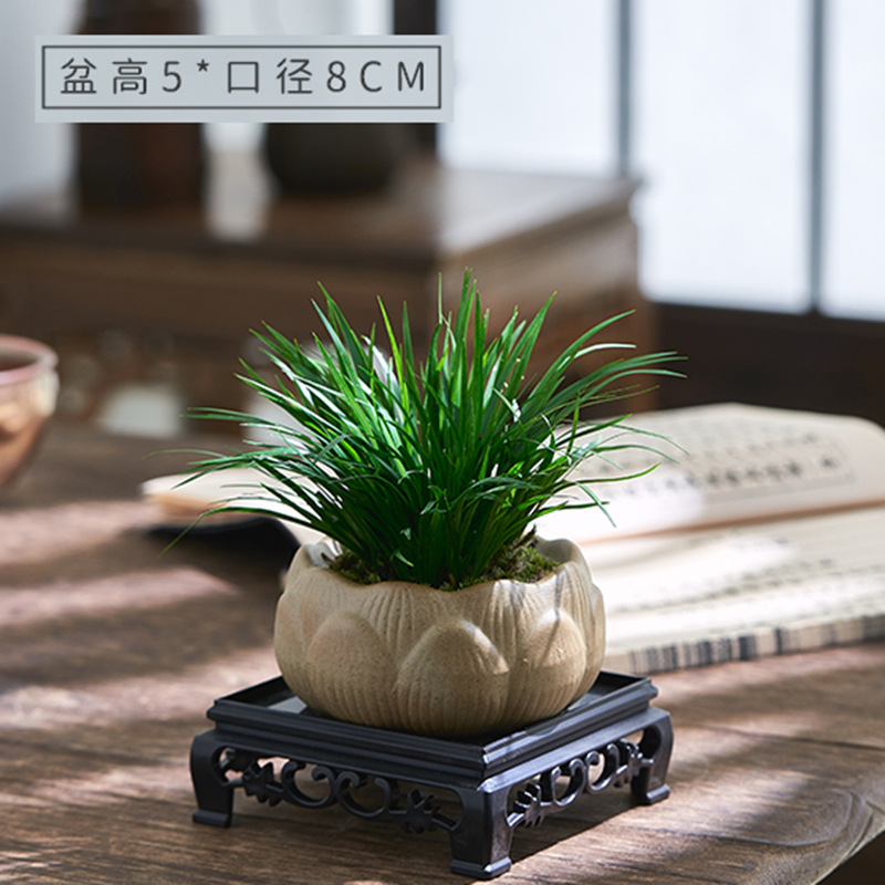 Dinero Acorus acorus bonsai pequeña maceta de oficina decoración de mesa de té modelado Zen迷 interior micro paisaje flor verde
