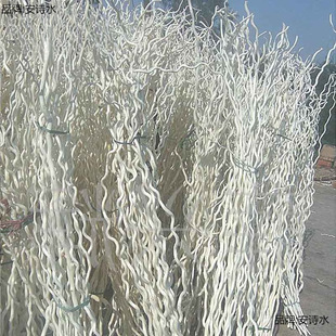 ��ɣ �������������~��֧���l �ט�֦�ɘ�֦�ɻ��[���b��s�r��