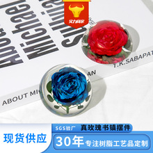 新款透明树脂水晶滴胶红玫瑰蓝玫瑰花标本直径64半圆球桌面摆件