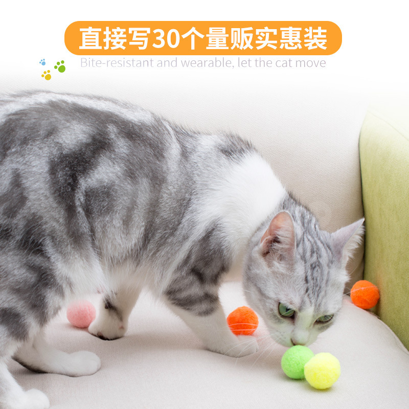 11349453673_924828873