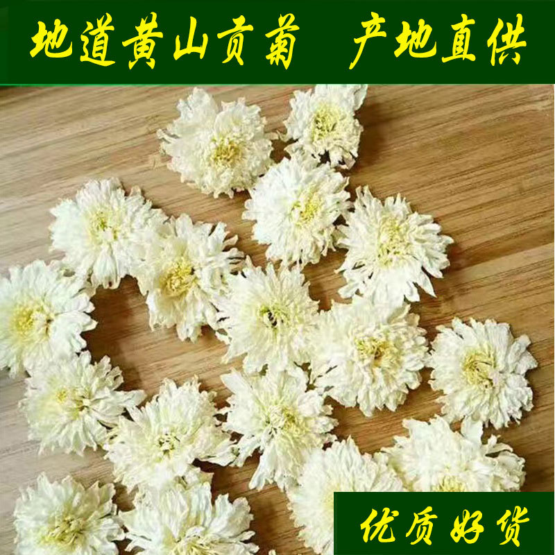 批发新货 黄山贡菊 七月菊 菊花茶 白菊花 黄山贡菊散装产地直销