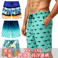 �W�����Q�羳��ʿɳ��ѝ���R�d��a��߅Ӿѝ�����ٸ�͸��ɳ��ѝ��