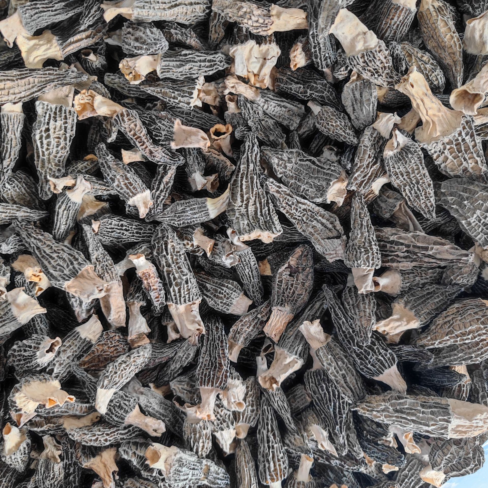 dc7f941d6625276fc0d21f9be3cbb4